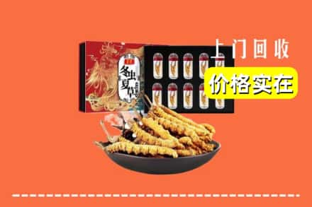 墨竹工卡县回收冬虫夏草